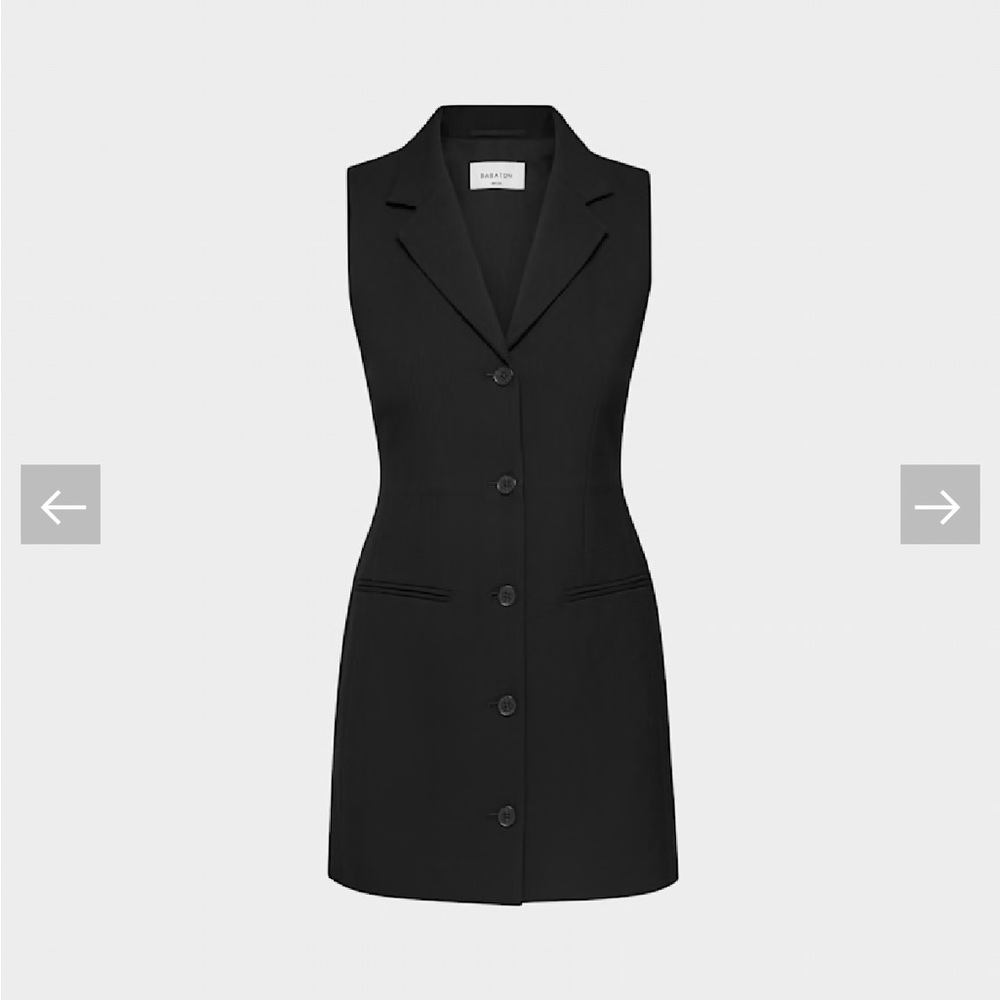 Babaton Dress